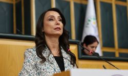 Hatimoğulları: 'Silah bırakma merasimi barışın eşiğidir, Meclis somut adımlar atmalıdır' 
