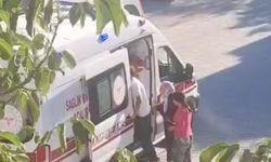 Köpeklerin saldırdığı yaşlı adam hastaneye kaldırıldı  - Videolu Haber