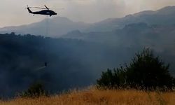 Orman yangını helikopter desteğiyle kontrol altına alındı  - Videolu Haber