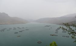 Çelikhan’a yağan yağmur yüzen adalara hayat verdi  - Videolu Haber