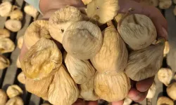 Nedim Yıldız Naturel: Doğanın Lezzeti ve Sağlığı