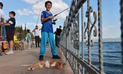 Eskihisar Sahili’nde baba-çocuk balık tuttular