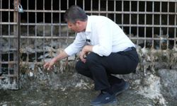 Başkan Tutdere: ‘Gürlevik su kaynağı kurudu" 