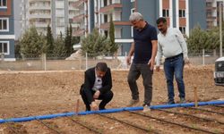 Adıyaman Belediyesi'nden ihtiyaç sahiplerine yönelik sebze üretimi - Videolu Haber