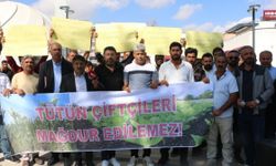 Adıyaman'da tütün üreticileri 'sahipsiziz' diyerek meydana indi - Videolu Haber