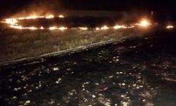 Besni'de çıkan anız yangını kontrol altına alındı