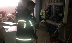 Besni'de, yakalanan yılan doğaya salındı - Videolu Haber