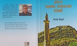 Besnili şair Serdar Meşen'in ilk şiir kitabı raflarda yerini aldı