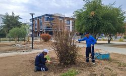 'Adıyaman Belediyesi'nden park ve yeşil alanlarda kışa hazırlık çalışmaları'