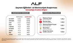 Güneydoğu Anketi: CHP, DEM ve AK Parti'de Durum- Bölgenin En Beğenilen Milletvekilleri