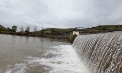 Adıyaman Beşpınar'da akıntıya karşı yüzen balıklar dikkat çekti - Videolu Haber