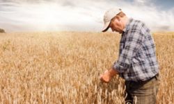 Adıyaman Tarım ve Orman İl Müdürlüğü'nden ÇKS uyarısı: 31 Aralık'ta sona eriyor