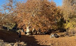 Adıyaman Zeynel Abidin Türbesi kış günlerinde ziyaretçi akınına uğradı - Videolu Haber