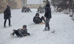 Adıyaman'da kar tatilini fırsata çeviren çocuklar sokaklara koştu - Videolu Haber