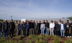 ADYÜTAYAM'da yer fıstığı hasadı ve sera denemeleri başarıyla tamamlandı