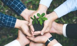 Çevre koruma harcamaları 2024'te 441 milyar TL'ye ulaştı