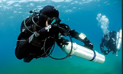 Dalisdukkani ile Su Altı Dünyasının Derinliklerine Keşif