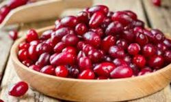 Grip ve soğuk algınlığına karşı kızılcık öne çıkıyor