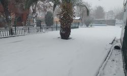 Meteoroloji uyardı: Adıyaman genelinde kar ve dondurucu soğuk