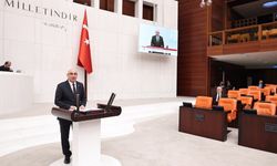 Milletvekili Tanal, TBMM'de araç benzetmesiyle iktidarı eleştirdi