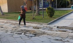 Mimar Sinan Kültür Parkı'nda bozuk kaldırımlar tepkiye neden oluyor - Videolu Haber