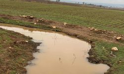 Adıyaman Çakırhüyük'te Keysun Çayı yeniden akmaya başladı