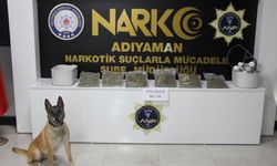 Adıyaman'da narkotik operasyonu: 3 kilo skunk ele geçirildi