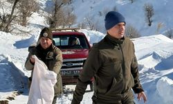 Adıyaman'da yaban hayvanları için kış dönemi yemleme çalışması