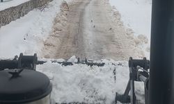 Adıyaman'ın Gölbaşı ilçesinde karla mücadele çalışmaları aralıksız sürüyor