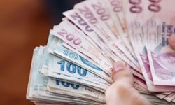 Bireysel Emeklilik Sistemi'nde devlet katkısı yüzde 20'ye düşürüldü