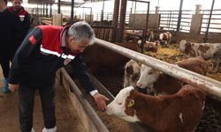 Daire Başkanı Melikşah Taşkın'dan hastalıktan ari işletme incelemesi