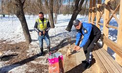 Soğuk havada sokak hayvanlarının yardımına polis koştu