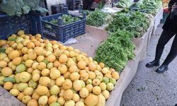 Adıyaman Pazarlarının zam şampiyonu yeşil soğan oldu