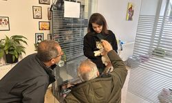 Adıyaman'da kimliği belirsiz kişilerin şiddetine uğrayan kedi ameliyatla kurtarıldı