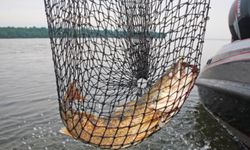 Adıyaman'da küçük ölçekli balıkçılığa destek süreci devam ediyor