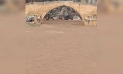 Adıyaman'da yağışlarla birlikte Cendere Çayı'nın seviyesi yükseldi - Videolu Haber