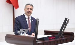 Alkayış: 'Asrın felaketini asrın birlikteliğiyle aşıyoruz'