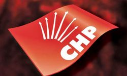 CHP Kadın Kolları: 'Devlet, şiddeti önleme yükümlülüğünü yerine getirmiyor'