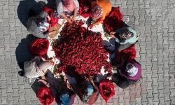 Atmalı'nın Kadınları Umut Oluyor