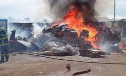 Besni'de tütün üretim tesisinde yangın çıktı - Videolu Haber