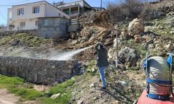 Gölbaşı'nda sivrisinek ve haşereye karşı ilaçlama çalışmaları sürüyor