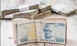 Maliye Bakanlığı Yüksek Gelirli 16 Bin Mükellefi Takibe Aldı