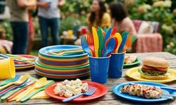 Plastik çatal, tabak ve pipetler yasaklanıyor!