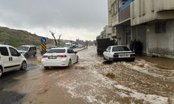 Şanlıurfa'da etkili olan yoğun yağış hayatı olumsuz etkiledi - Videolu Haber