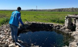 Adıyaman Belediyesi yaz öncesi ilaçlama çalışmalarını yoğunlaştırdı - Videolu Haber