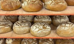 Adıyaman Halk Ekmek'te üretim kapasitesi ve çeşitlilik artırıldı - Videolu Haber