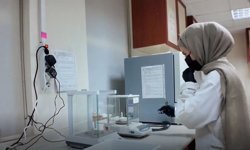 Adıyaman Üniversitesi'nden çiftçiye bilimsel destek hattı - Videolu Haber