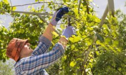 Adıyaman'da Alet, Ekipman ve Makine Dağıtım Töreni düzenlenecek