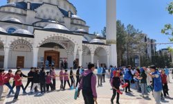 Adıyaman'da ÇEDES şenlikleri coşkuyla tamamlandı