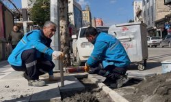Adıyaman'da hasar gören aydınlatma hatları yenileniyor - Videolu Haber